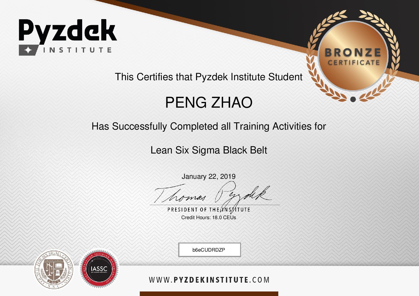 Peng Zhao Lean Six Sigma Black Belt Bronze Certificate